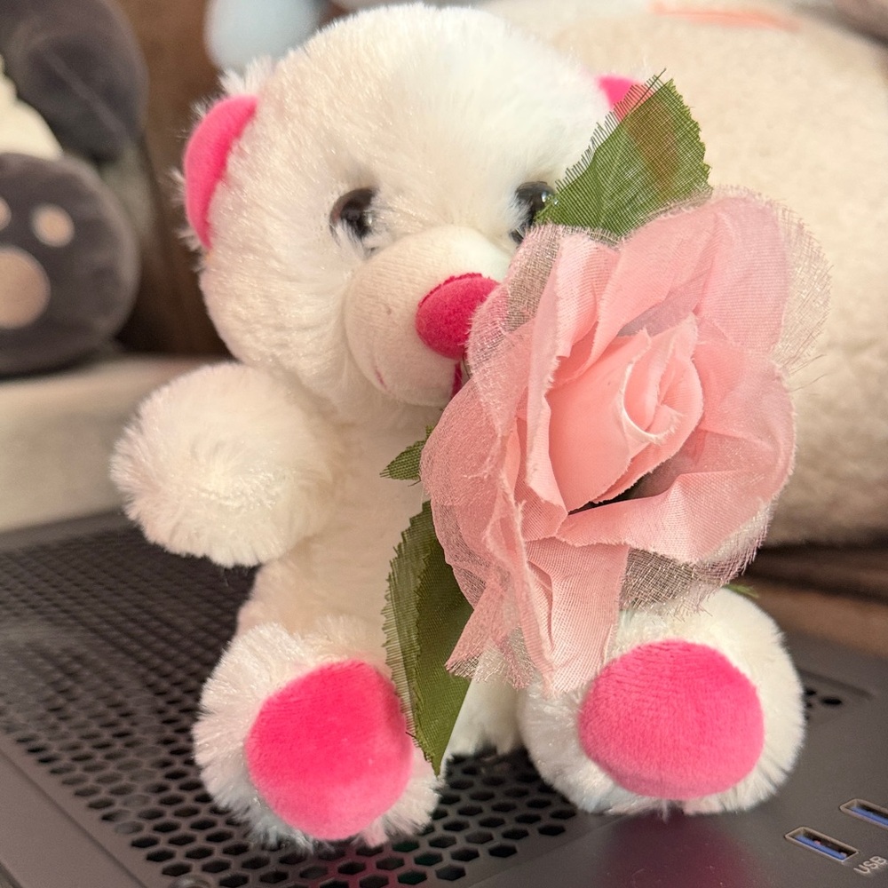 Pink and White Teddy Bear with Rose